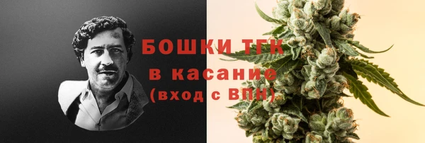 2c-b Белокуриха